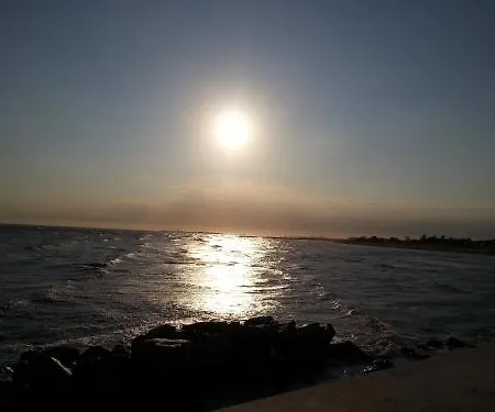 Marea